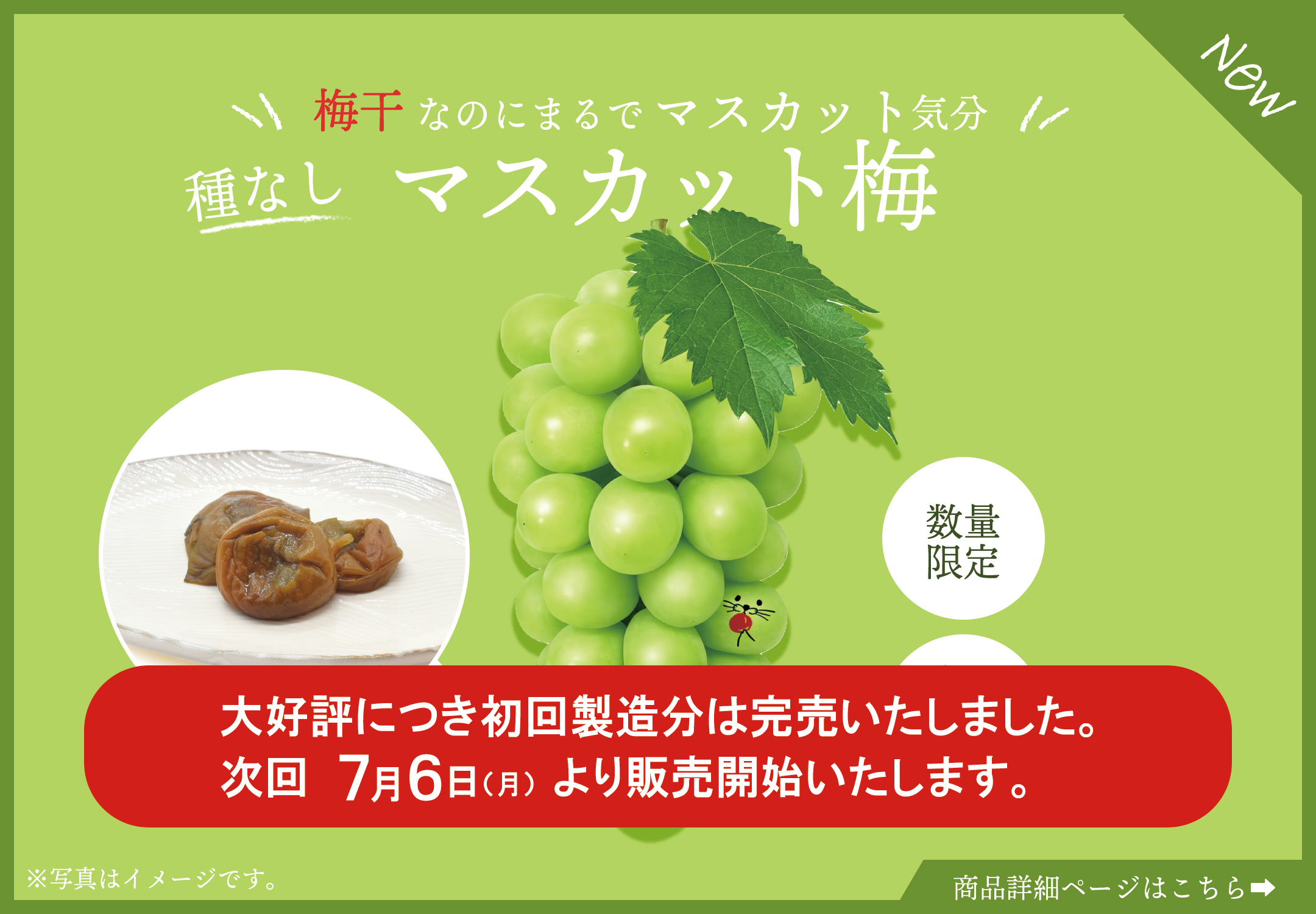 �}�X�J�b�g�~