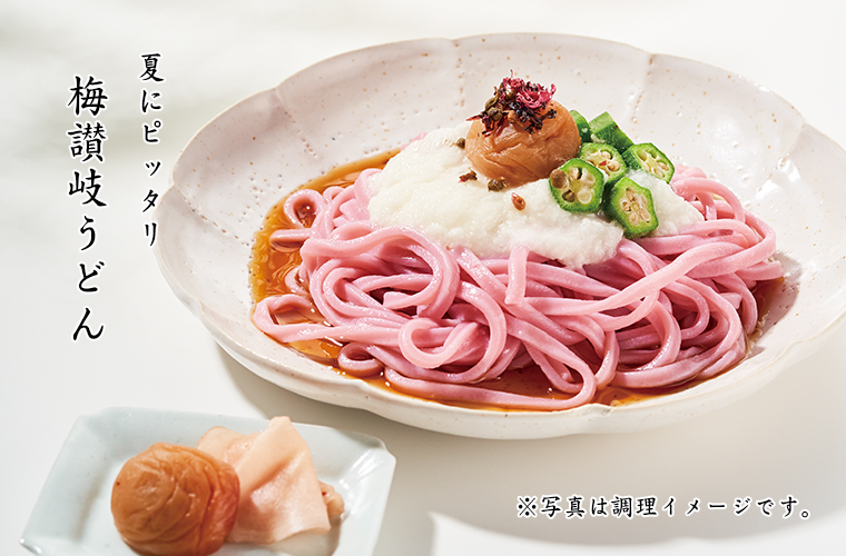梅讃岐うどん 半生 特製つゆ付4 5人前 梅うどん 南高梅 はちみつ梅の通販 わたしの家は梅農家 ぷらむ工房公式オンラインショップ 梅讃岐うどん 半生 特製つゆ付4 5人前 梅うどん 南高梅 はちみつ梅の通販 わたしの家は梅農家 ぷらむ工房公式オンラインショップ