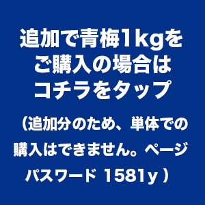 紀州南高梅 青梅10kg【送料無料(一部別)】 紀州南高梅 青梅 南高梅