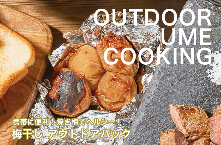 即納 中田食品 紀州南高梅 梅なでしこ 500g×8個 fucoa.cl