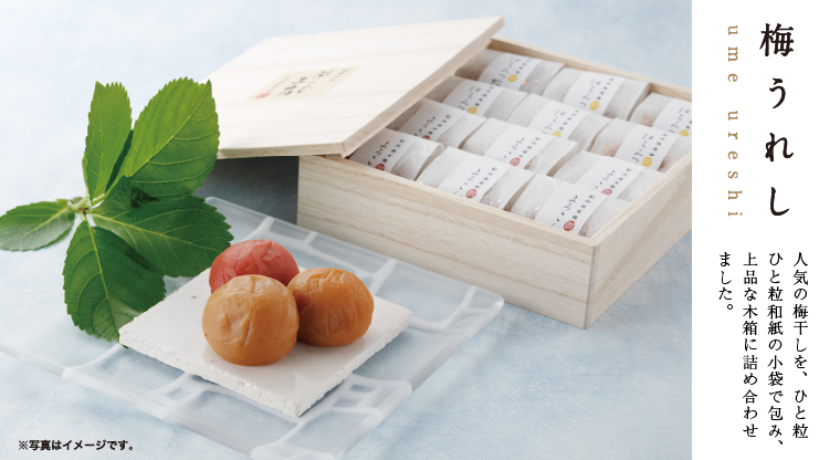 894円 高級 紀州南高梅 はちみつ味 種あり 120g×10個入