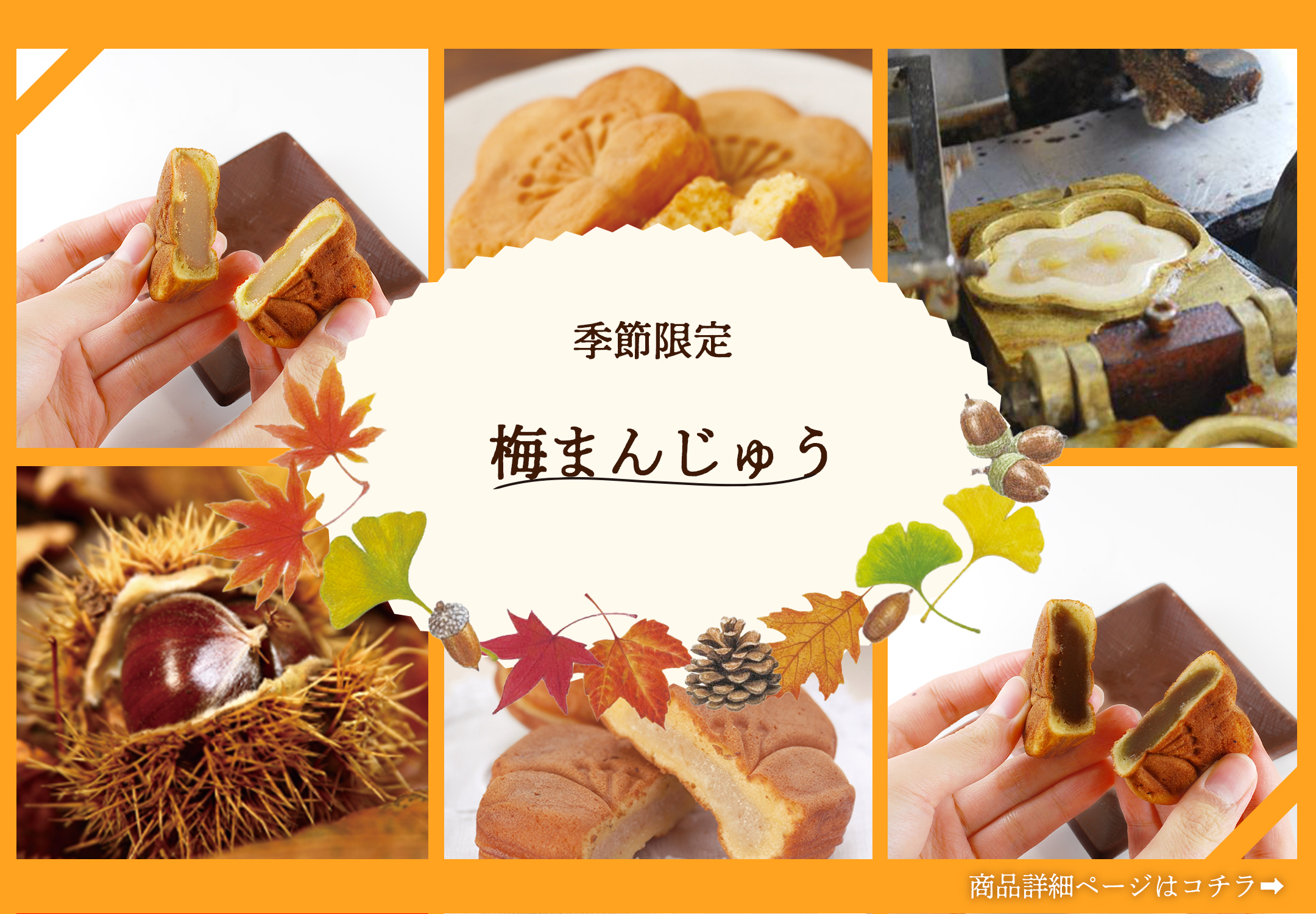 �~�܂񂶂イ