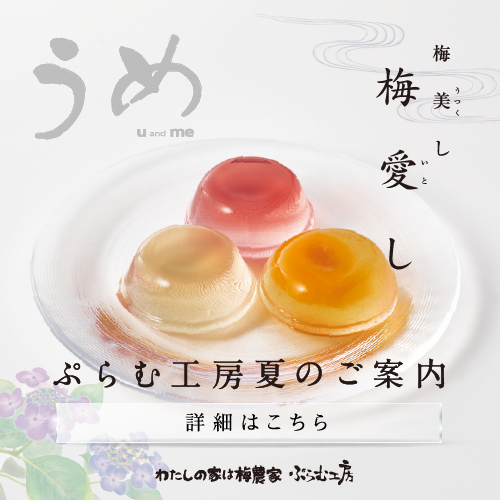 わたしの家は梅農家 ぷらむ工房