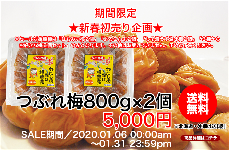 つぶれ梅800g×2個送料無料セール