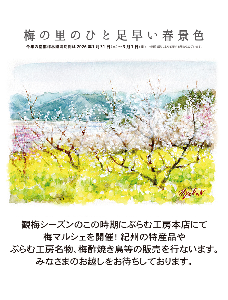 �~�}���V�F2026