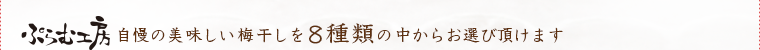 ぷらむ工房 自慢の美味しい梅干しを8種類の中からお選び頂けます