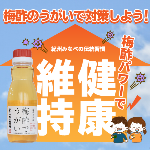 わたしの家は梅農家 ぷらむ工房