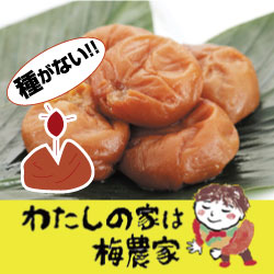 紀州南高梅”種なしはちみつ梅” 400g入 ギフト 南高梅・はちみつ梅の