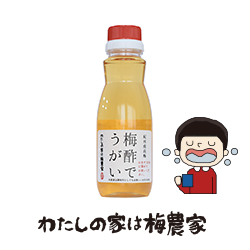 梅にうぐいす　富治　共箱有り　M１４３６ 梅にうぐいす 富治 共箱有り M1436