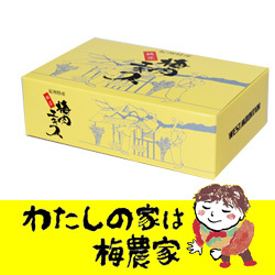 純正梅肉エキス チューブタイプBOX 梅製品 南高梅・はちみつ梅の通販