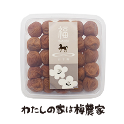 ~ 500g@͂юp