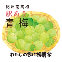 IB썂~ ~Pkgi~E~Vbvpj