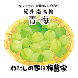 紀州南高梅 青梅1kg 紀州南高梅 青梅 南高梅・はちみつ梅の通販 わたし