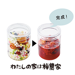 手づくり3種のベリーと冷凍梅シロップミニキット 手作りキット 南高梅 はちみつ梅の通販 わたしの家は梅農家 ぷらむ工房公式オンラインショップ 手づくり3種のベリーと冷凍梅シロップミニキット 手作りキット 南高梅 はちみつ梅の通販 わたしの家は梅農家 ぷらむ工房公式オンラインショップ