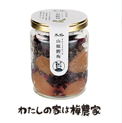 {iR~140g