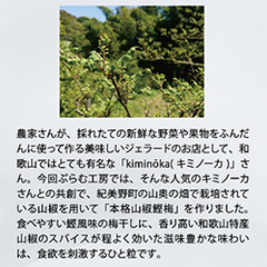 {iR~140g