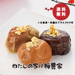 うめこぶ出品 贅の極【18粒入】 ギフト 南高梅・はちみつ梅の通販 わたしの家は梅