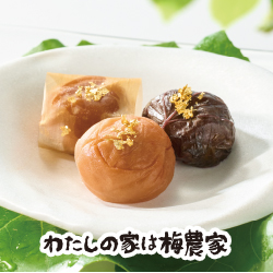 贅の極【18粒入】 ギフト 南高梅・はちみつ梅の通販 わたしの家は梅