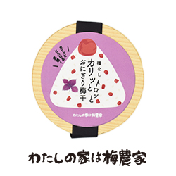 種なしカリッとトロッとおにぎり梅干120g入 梅干商品 南高梅・はちみつ