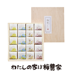 梅愛し20粒入 ギフト 南高梅・はちみつ梅の通販 わたしの家は梅農家