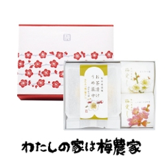 ���t�v�`�M�t�g