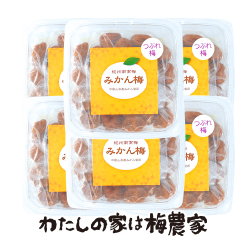 つぶれ梅☆みかん梅300g×6個☆ 梅干商品 南高梅・はちみつ梅の通販