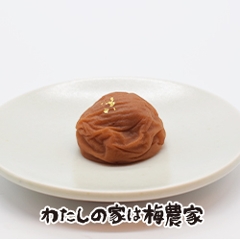 �������_�C�������h�~10����