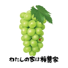 �y�V�����z��Ȃ� �}�X�J�b�g�~150g��