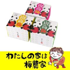 パンダ包装 梅干し 1g入 15夏カタログ掲載商品 南高梅 はちみつ梅の通販 わたしの家は梅農家 ぷらむ工房公式オンラインショップ