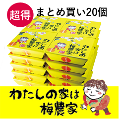エコパック250g入 20箱 梅干商品 南高梅・はちみつ梅の通販 わたしの家