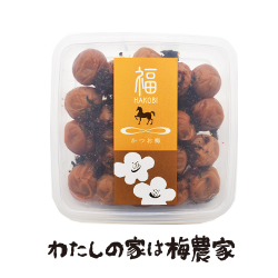 ~ 500g@͂юp