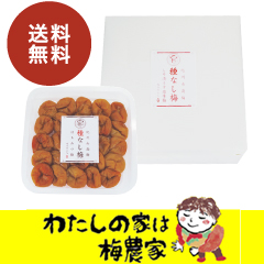 種なし梅 しそ漬うす塩味梅400g入【送料無料（一部別）】 ギフト 南高