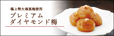 �v���~�A���_�C�������h�~