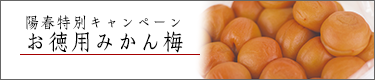 陽春特別キャンペーン「お徳用みかん梅」
