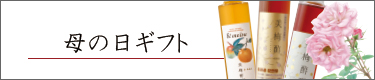 ̓Mtg