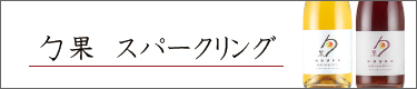 ʃXp[NO