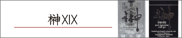 XIX