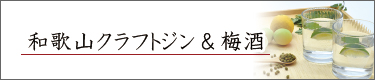 a̎RNtgW~
