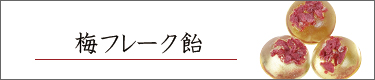 ~t[N