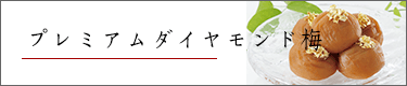 �v���~�A���_�C�������h�~