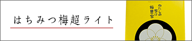 �͂��݂~��light