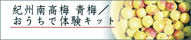 �~�ł���@�������ő̌��L�b�g