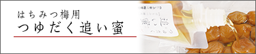 �䂾���ǂ���