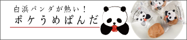 �|�P���߃p���_